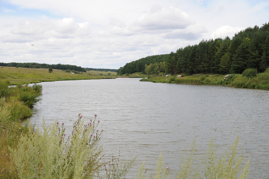 Отдых в тихом, красивом, экологически чистом месте